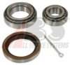 WERTH 803 Wheel Bearing Kit